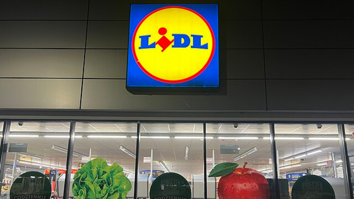 Lidl: cómo prepararte para el trabajo de tus sueños